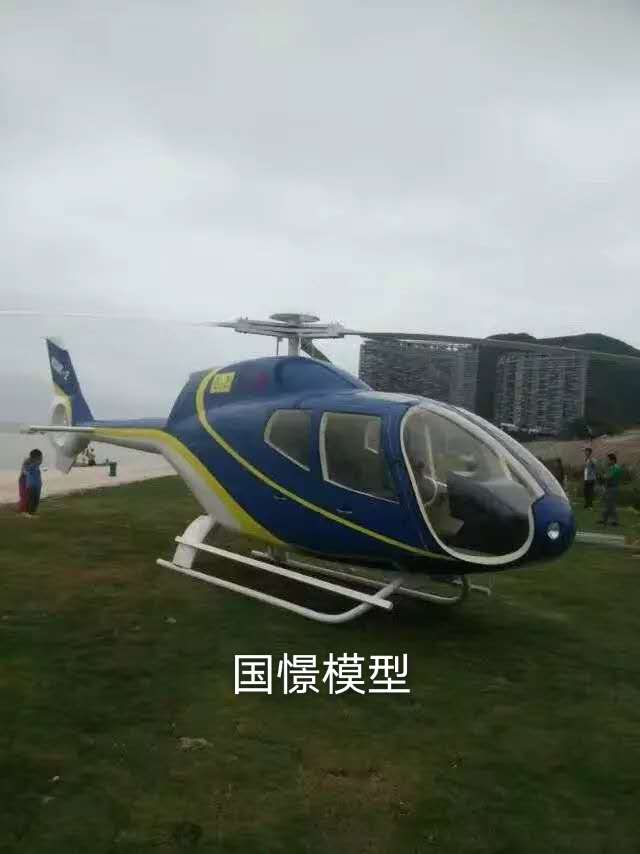 饶河县飞机模型