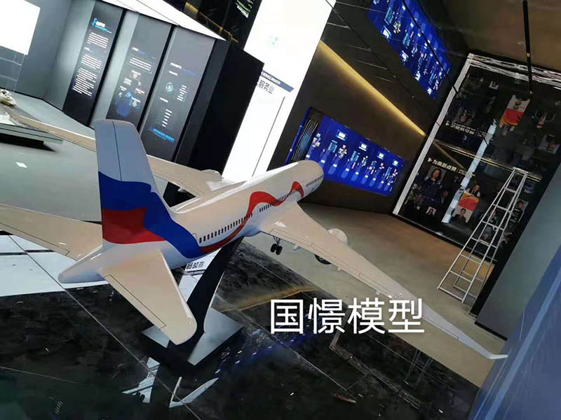 饶河县飞机模型